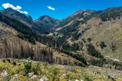 IMG_9943