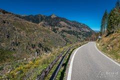 IMG_9944