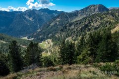 IMG_9950