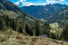 IMG_9951