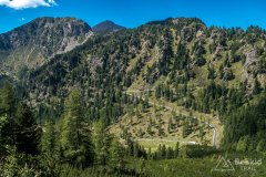 IMG_9954