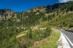 IMG_9955