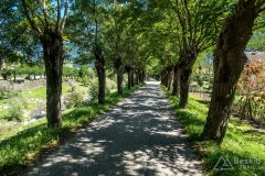 IMG_9958