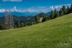 IMG_9971