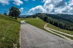 IMG_9974