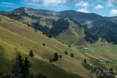 IMG_9975