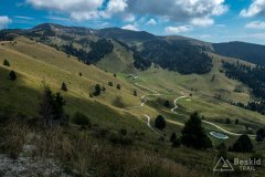 IMG_9976