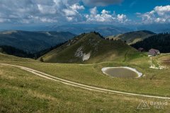 IMG_9978
