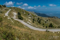 IMG_9979
