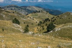 IMG_9984