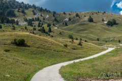 IMG_9987