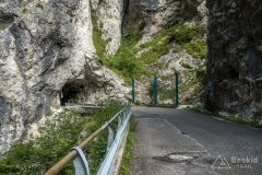 IMG_9994
