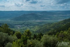 IMG_9999-2