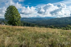 IMG_0010