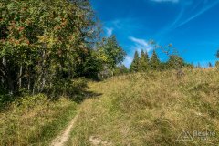 IMG_0011