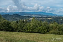 IMG_0016