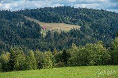 IMG_0017