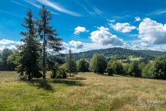 IMG_0020