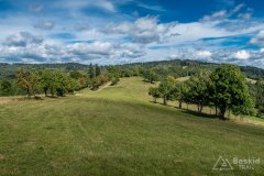 IMG_0022