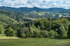 IMG_0023