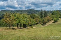 IMG_0024
