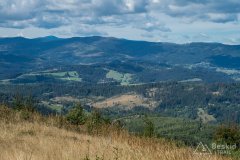 IMG_0028