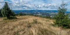 IMG_0029