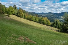 IMG_0031
