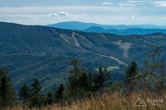 IMG_0053