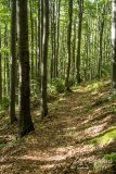 IMG_0054