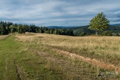 IMG_0055