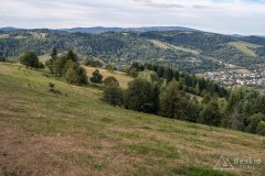 IMG_0064