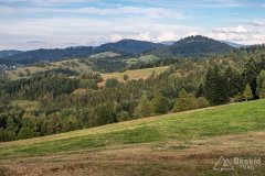 IMG_0065