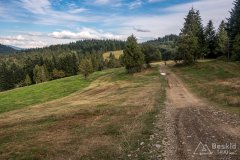 IMG_0066