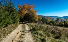 IMG_0070