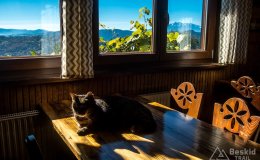 IMG_0076