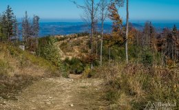 IMG_0092