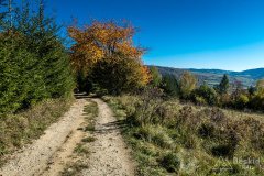 IMG_0070