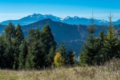 IMG_0072