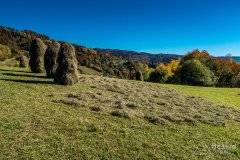 IMG_0073