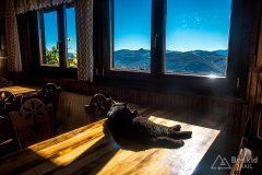 IMG_0075