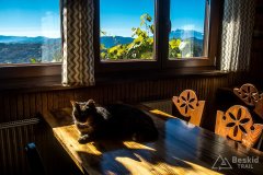 IMG_0076