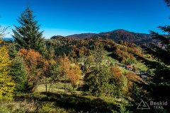 IMG_0080