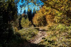 IMG_0081