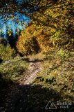 IMG_0082