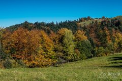 IMG_0084