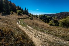 IMG_0085