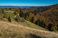 IMG_0086