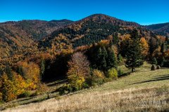 IMG_0087