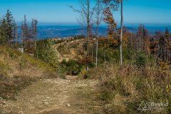 IMG_0092